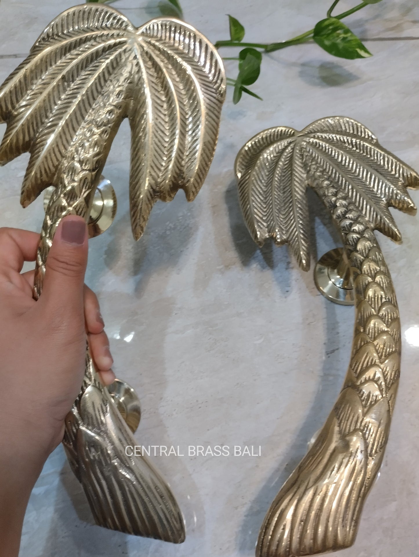 Palm Brass Door Handle Pair | Bohemian Tropical Style (30cm)