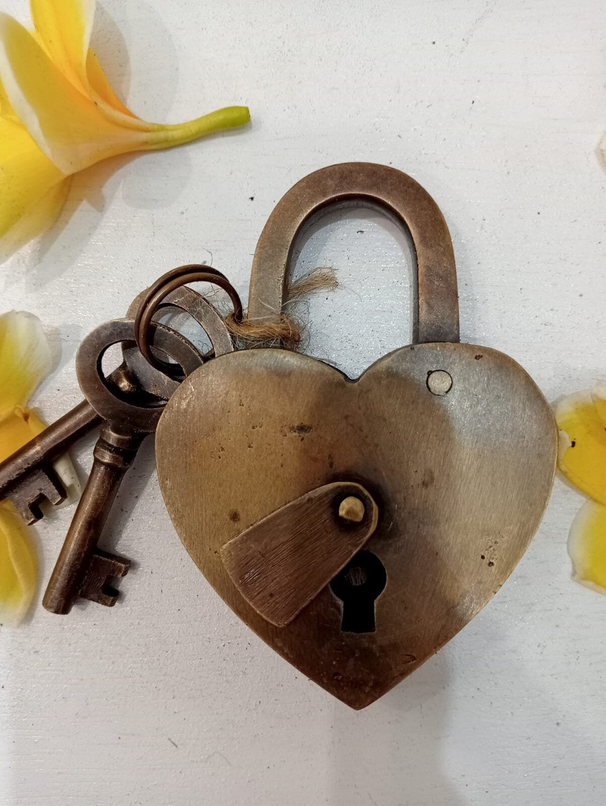 Antique Brass Heart Love Padlock Set | Vintage Working Lock with Key
