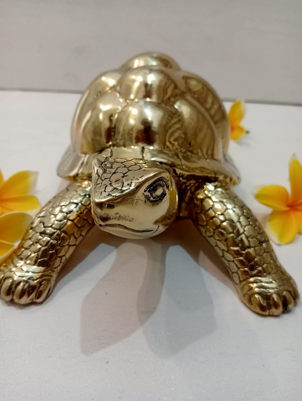 Large Solid Brass Turtle Sculpture | Nautical Home Decor (10.62 Inches)
