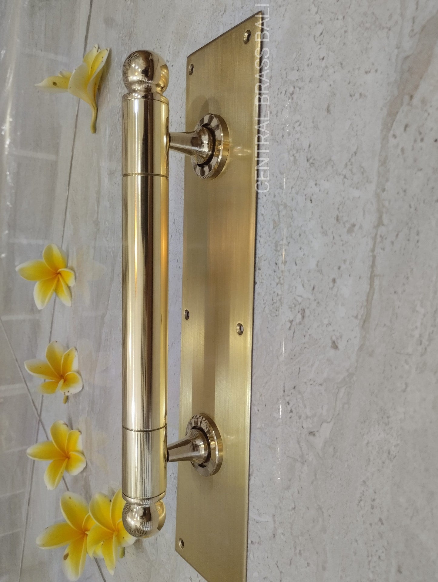 Pair of Polished Brass Door Handles with Backplate, Gold Entry Door Pulls, Luxury Front Door Hardware, Main Entry Handle 32cm