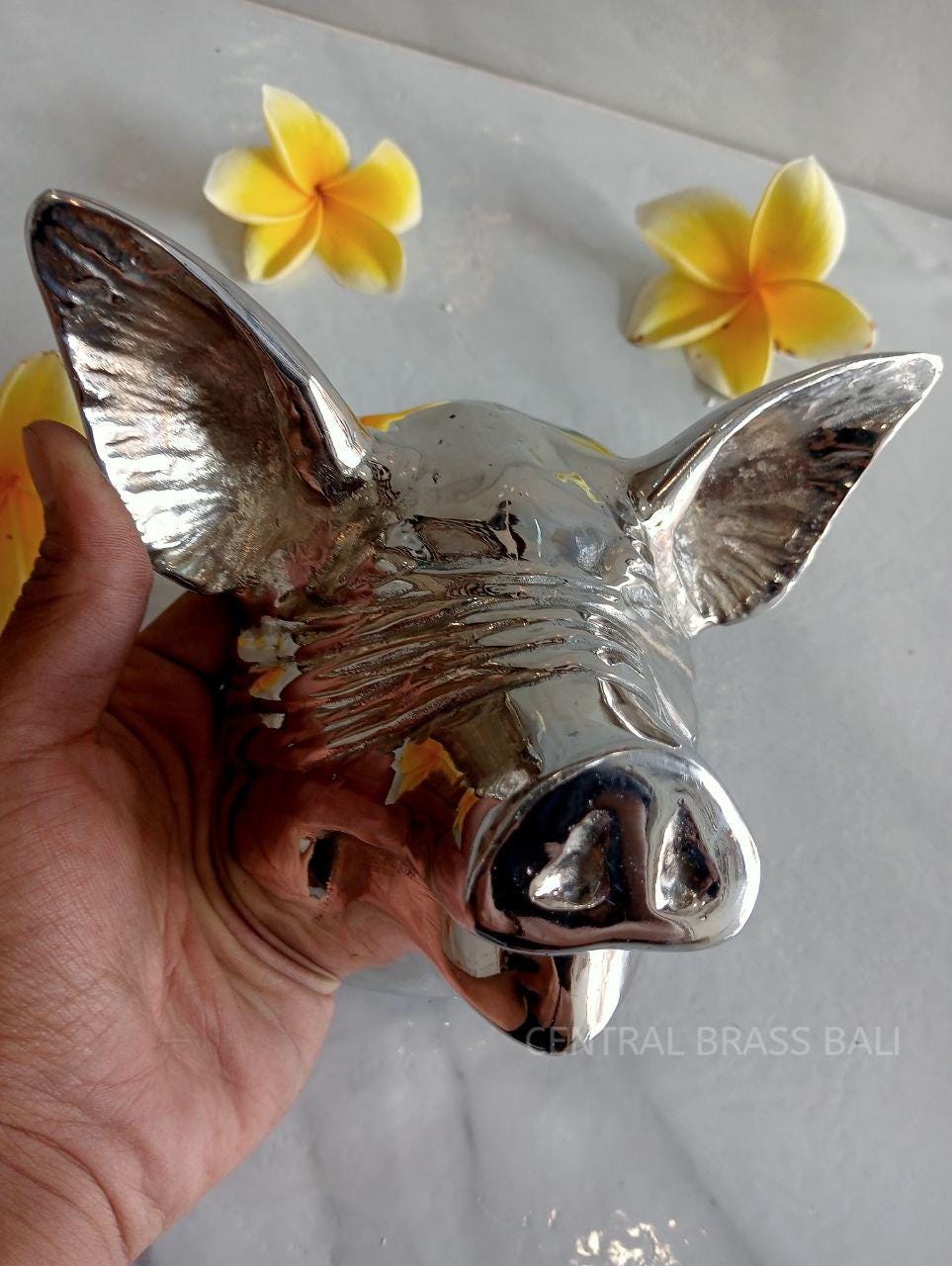 Custom Order | 8.07" SILVER Blind Pig Door Knocker with Rectangular Back Plate
