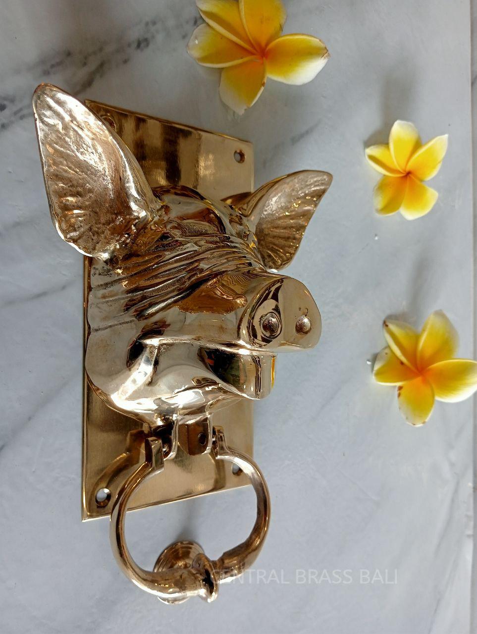 Polished Brass Solid Brass Blind Pig Door Knocker | Rustic Home Decor