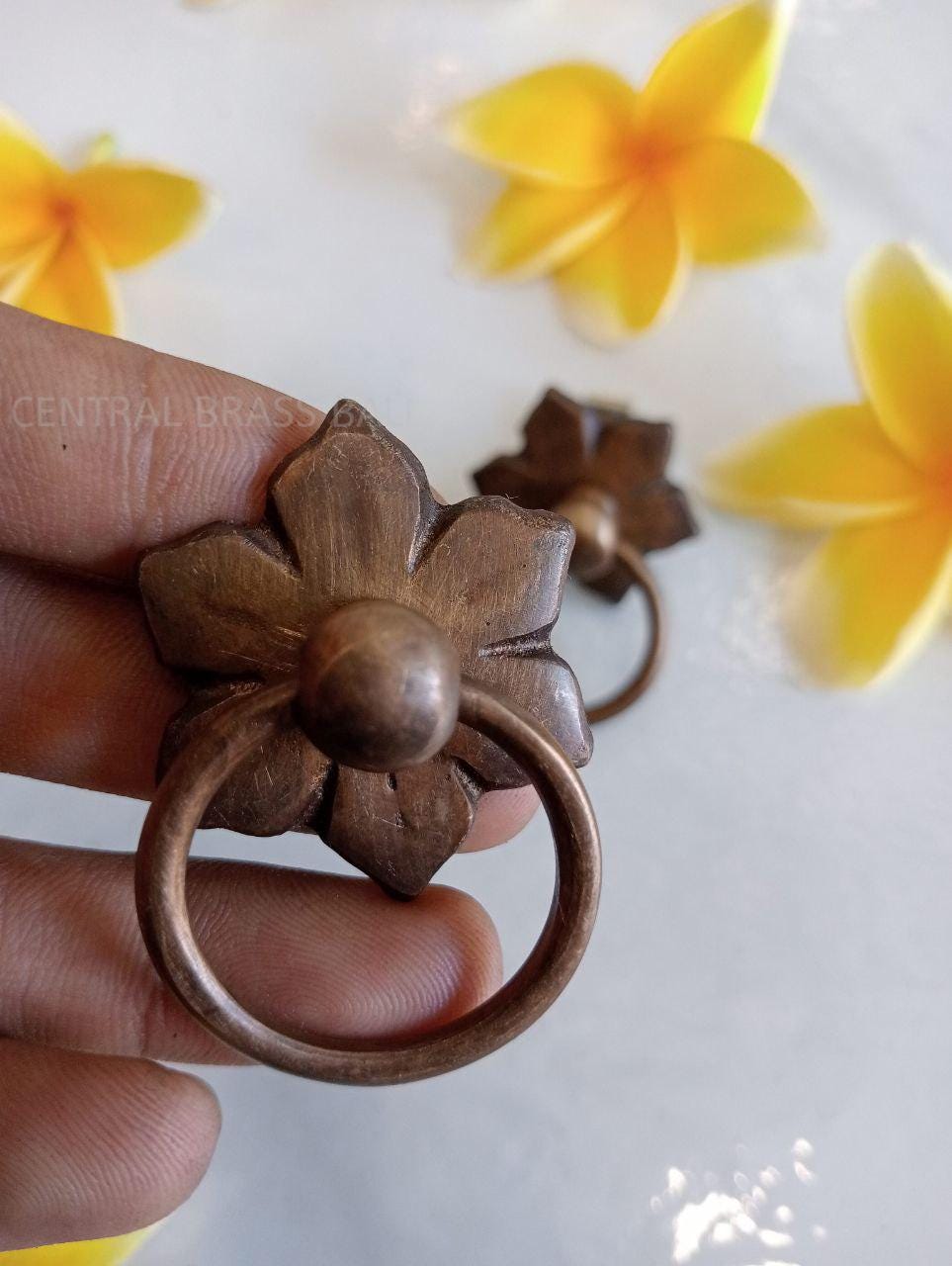 Brushed Brass Flower Ring Pulls | Cabinet & Dresser Hardware (Set of 10)