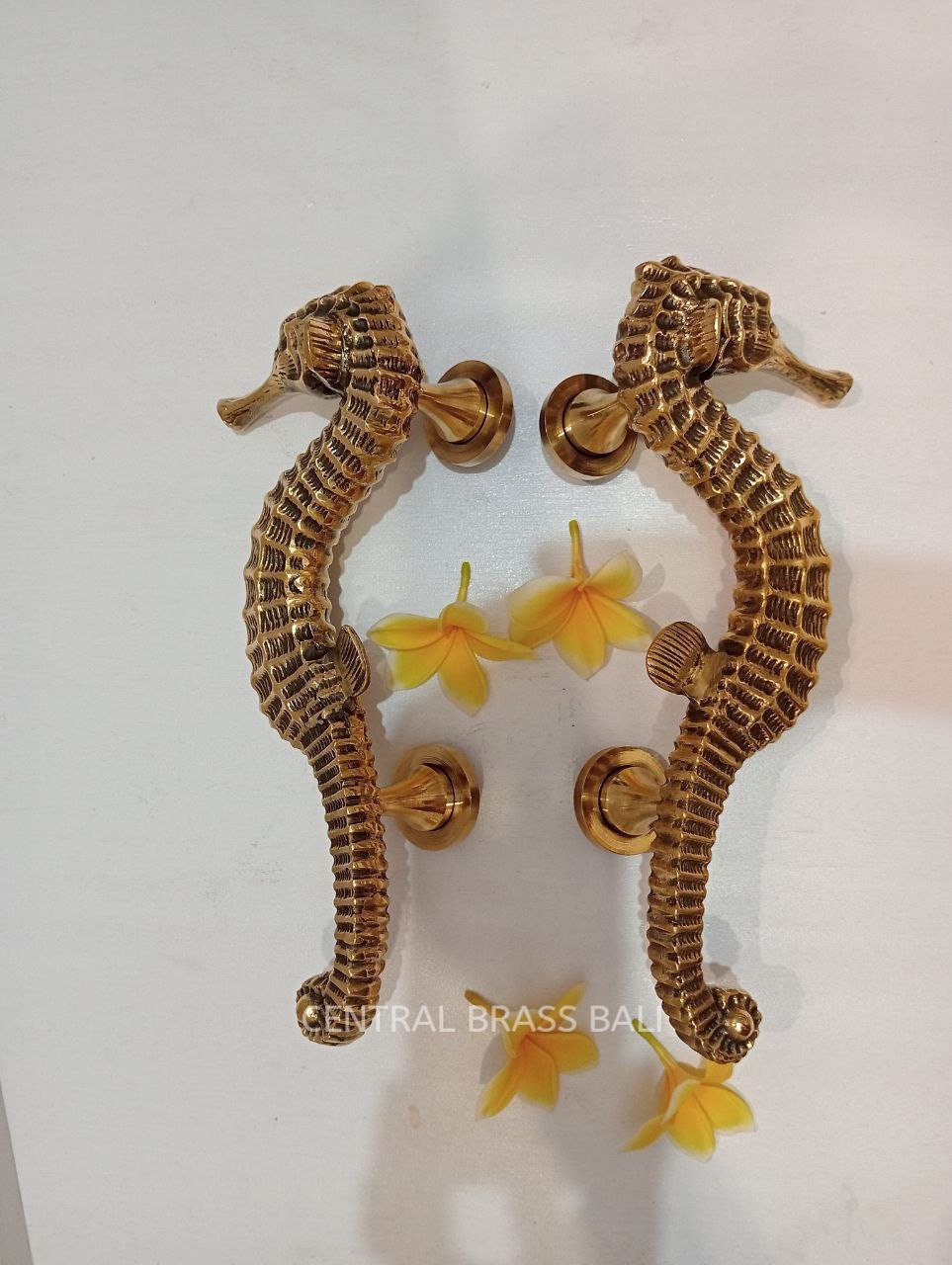 12" Pair Solid Brass Seahorse Door Handles | Gold Main Entry Door Pulls | Luxury Coastal Nautical Front Door Hardware
