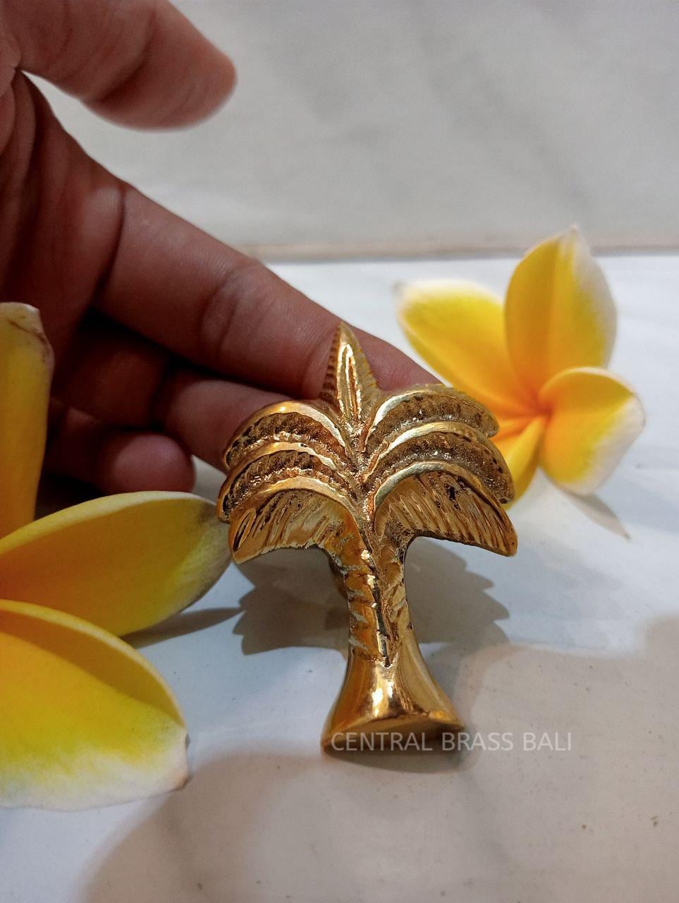 Set of 10 Palm Brass Knobs | Tropical Decor, Solid Brass