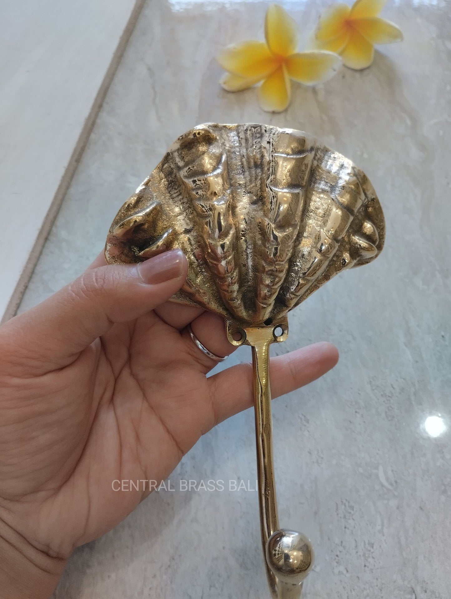 Set of 3 Brass Scallop Shell Coat Hooks, Coastal Wall Hooks, Beach House Decor, Nautical Bathroom Towel Hangers, 6.29"