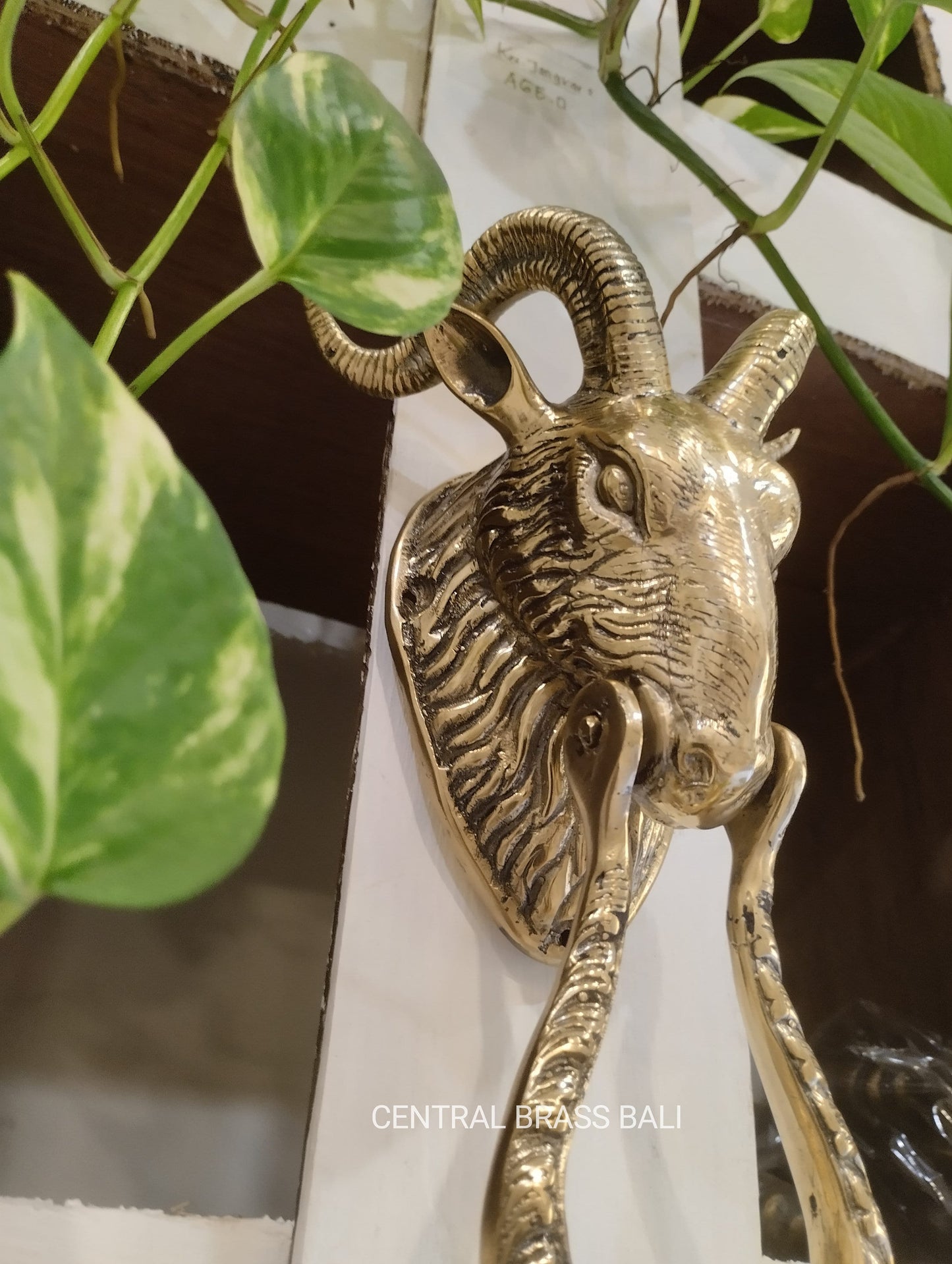 Large Cast Brass Goat Head Door Knocker 10 Inch | Rustic Farmhouse Front Door Hardware | Antique Style Animal Decor Housewarming Gift