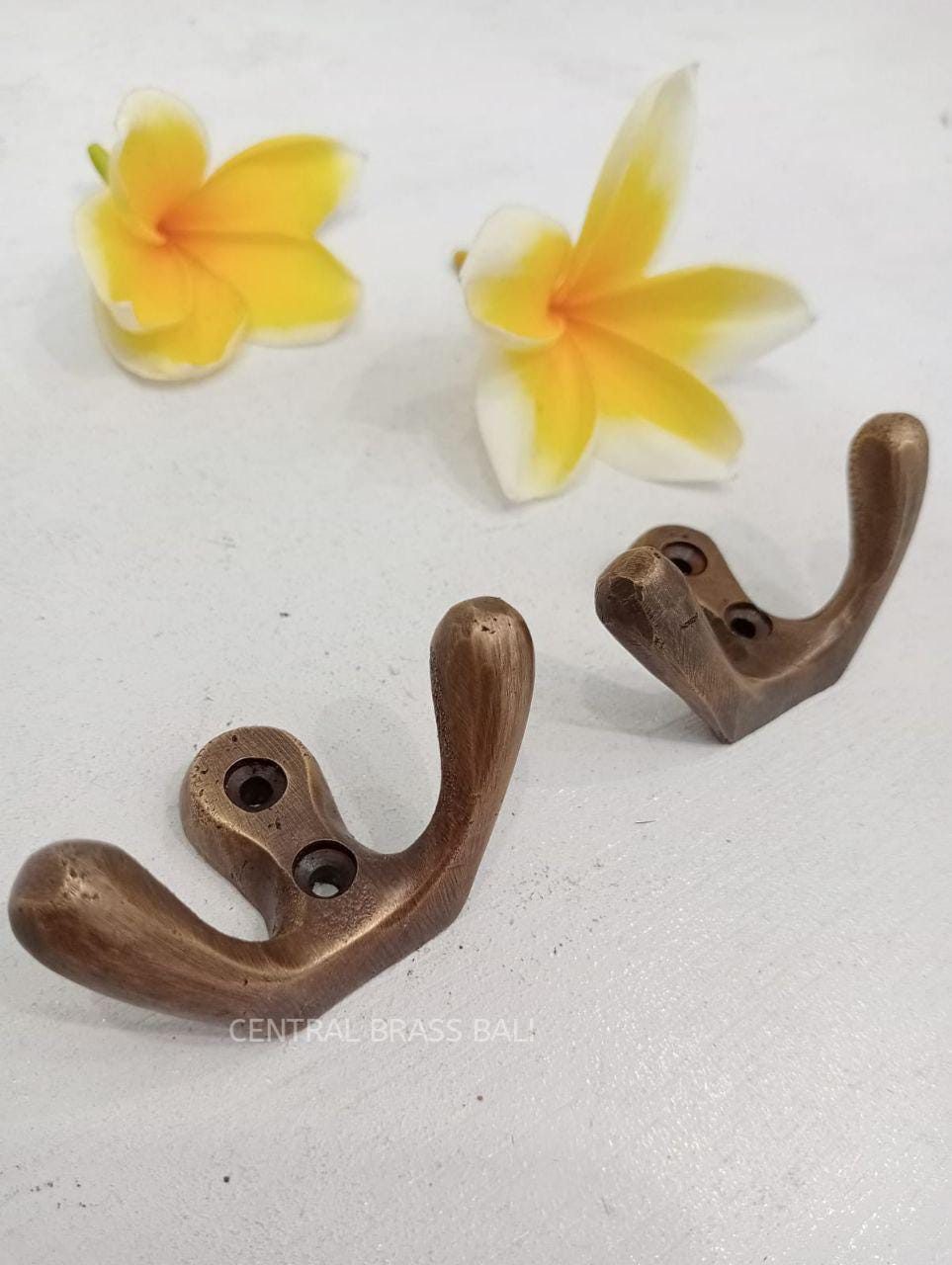 Solid Brass Double Wall Hook – Antique Bronze Rustic Home Decor (10 pcs)