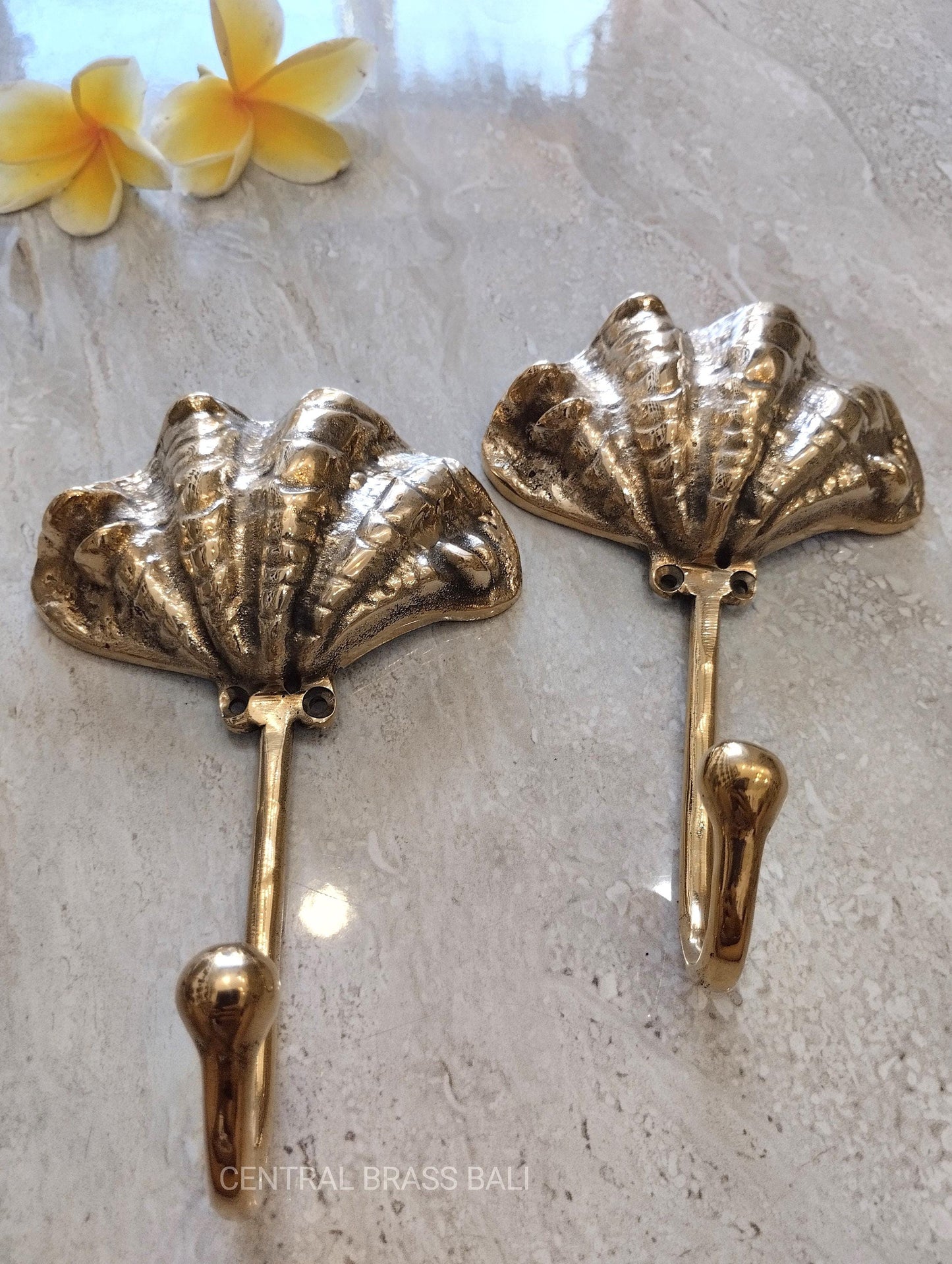 Set of 3 Brass Scallop Shell Coat Hooks, Coastal Wall Hooks, Beach House Decor, Nautical Bathroom Towel Hangers, 6.29"