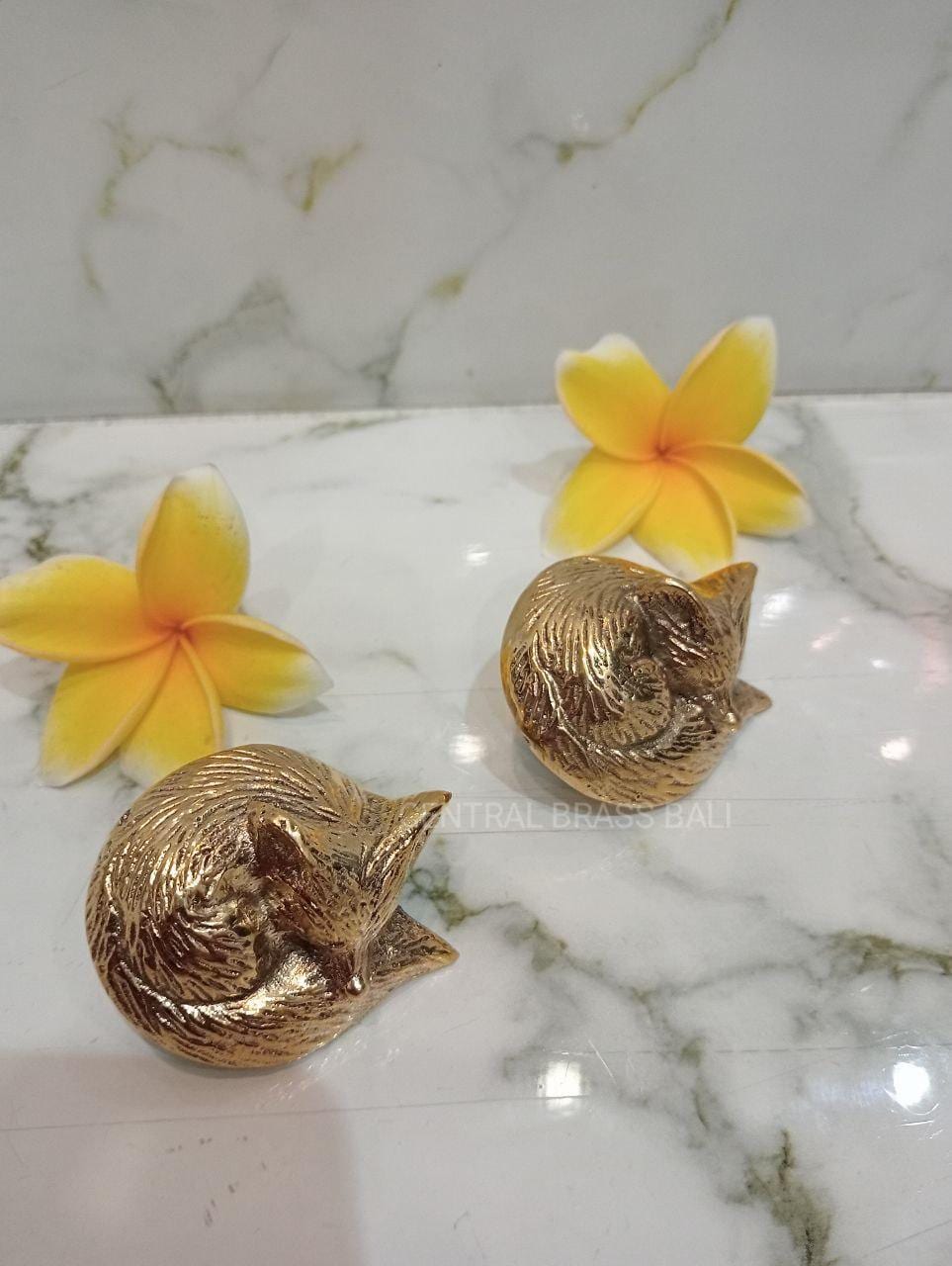 10 pieces gold Brass Sleeping Fox Knob for Drawer Dresser Knobs