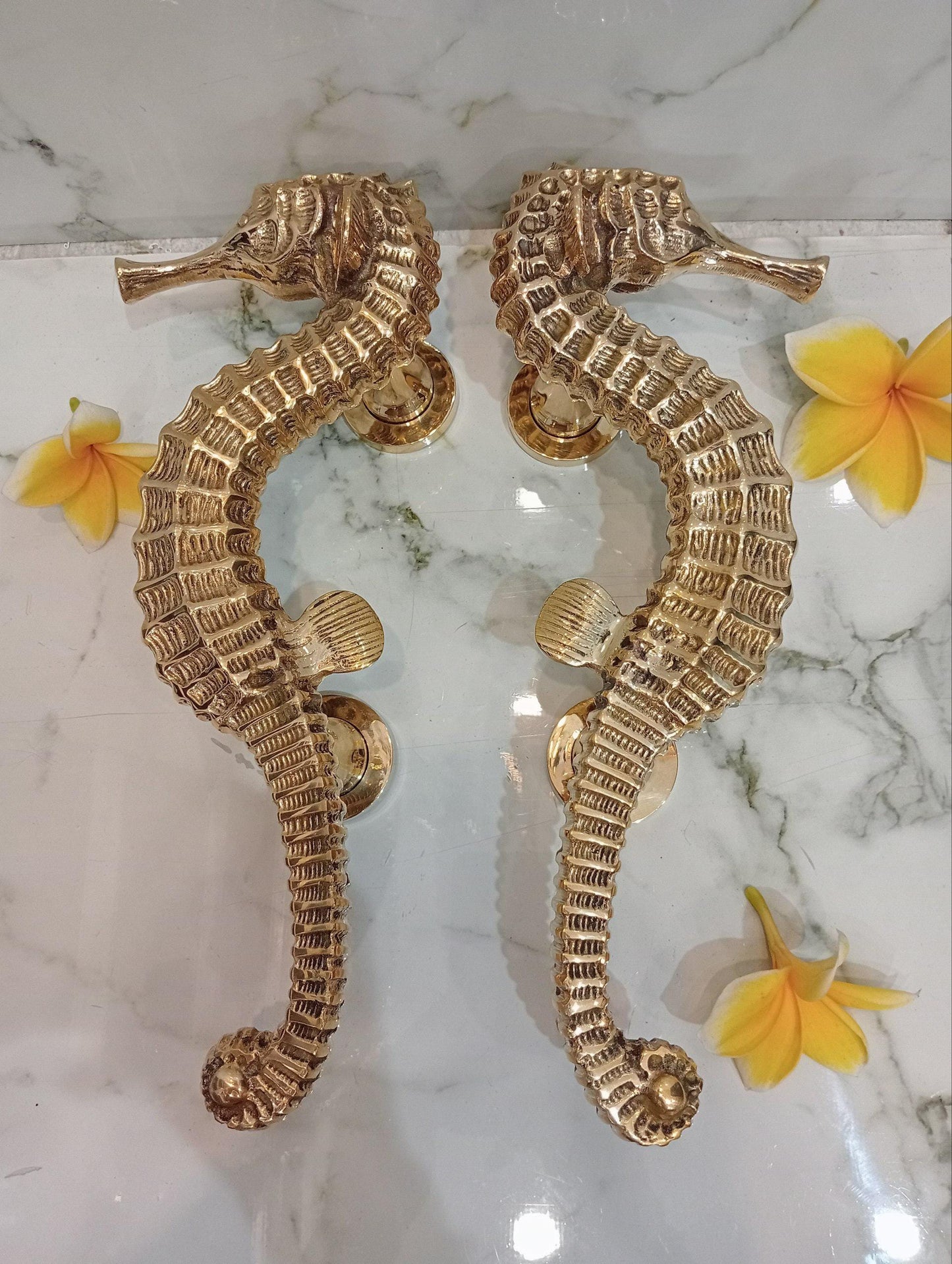 12" Pair Solid Brass Seahorse Door Handles | Gold Main Entry Door Pulls | Luxury Coastal Nautical Front Door Hardware
