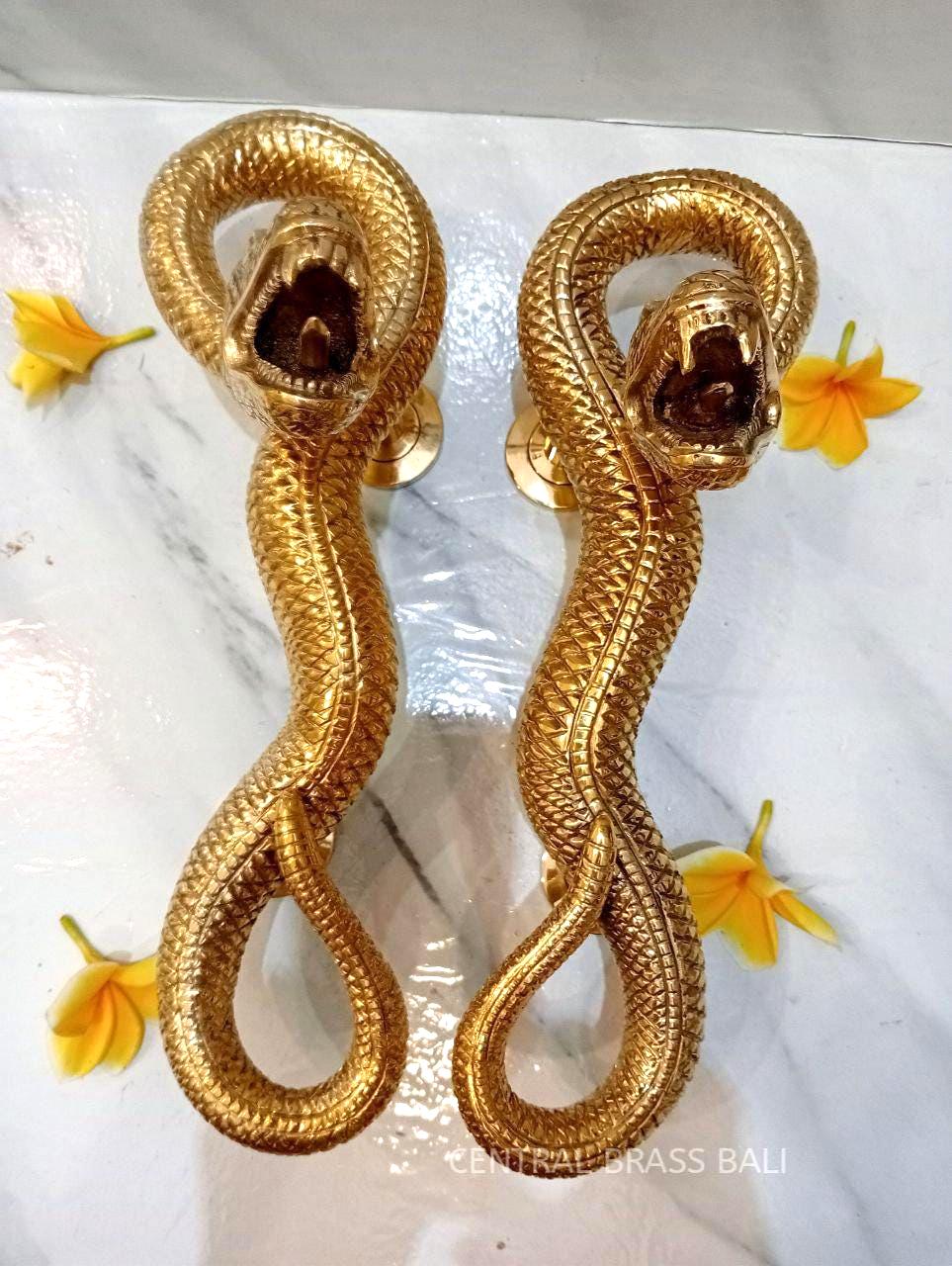 2pcs Brass Snake Door Handle Pair, Solid Brass Gold Polish Front Entry Door Pull, Unique Serpent Door Handle