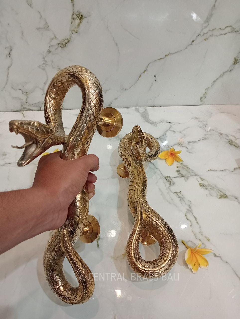 Vintage Solid Brass Snake Door Pull Handle Pair | Handcrafted Serpent Entrance Handle | Luxury Gothic Door Hardware
