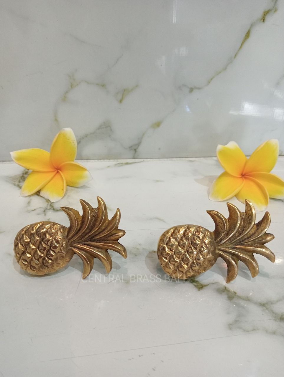 Set of 10pcs Pineapple knobs