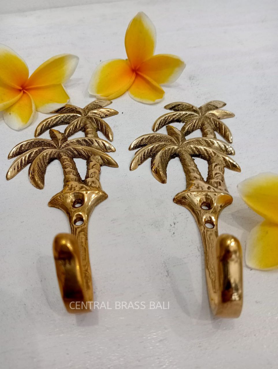4pcs Double palm hooks Brass