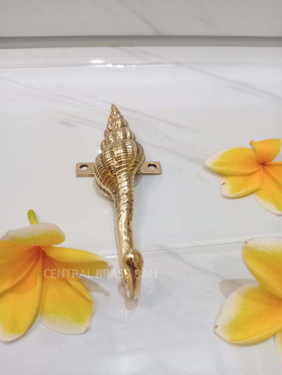 Set of 4pcs Shell Hook Brass