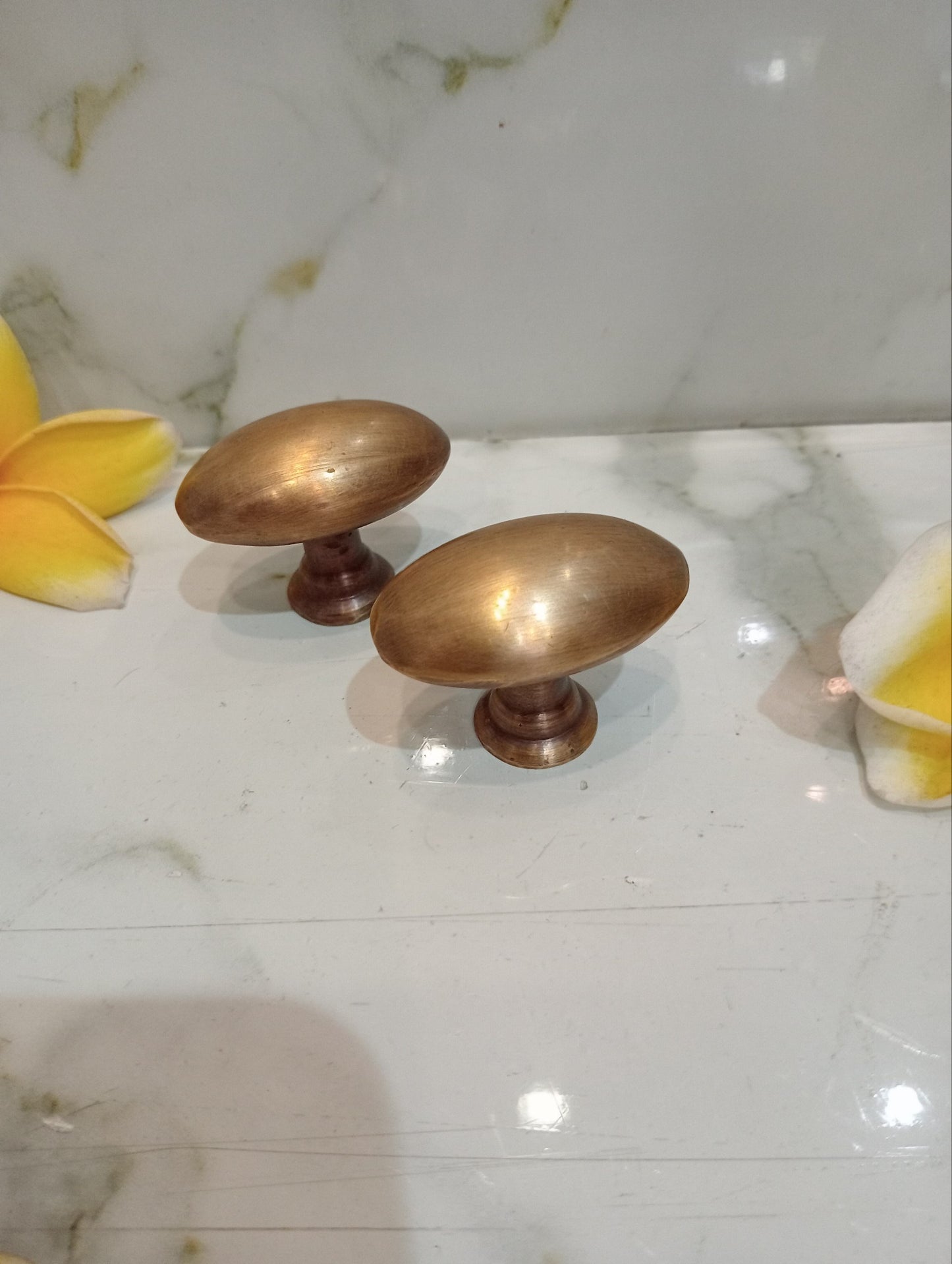 10pcs Solid Brass Oval Cabinet Knob | Antique Brass Egg Shape Drawer Knob | Vintage Dresser Pull | Kitchen Cabinet Handle
