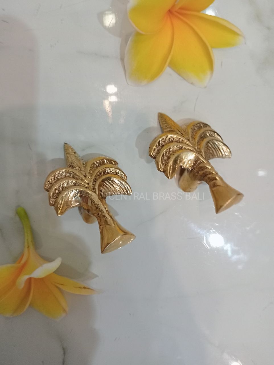 Set of 10pcs Palm knobs