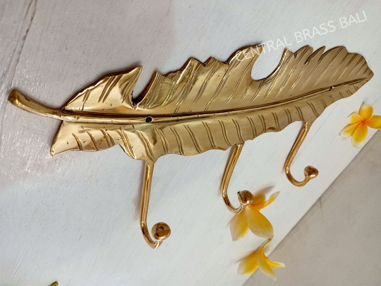 Big leaf door Brass Hooks