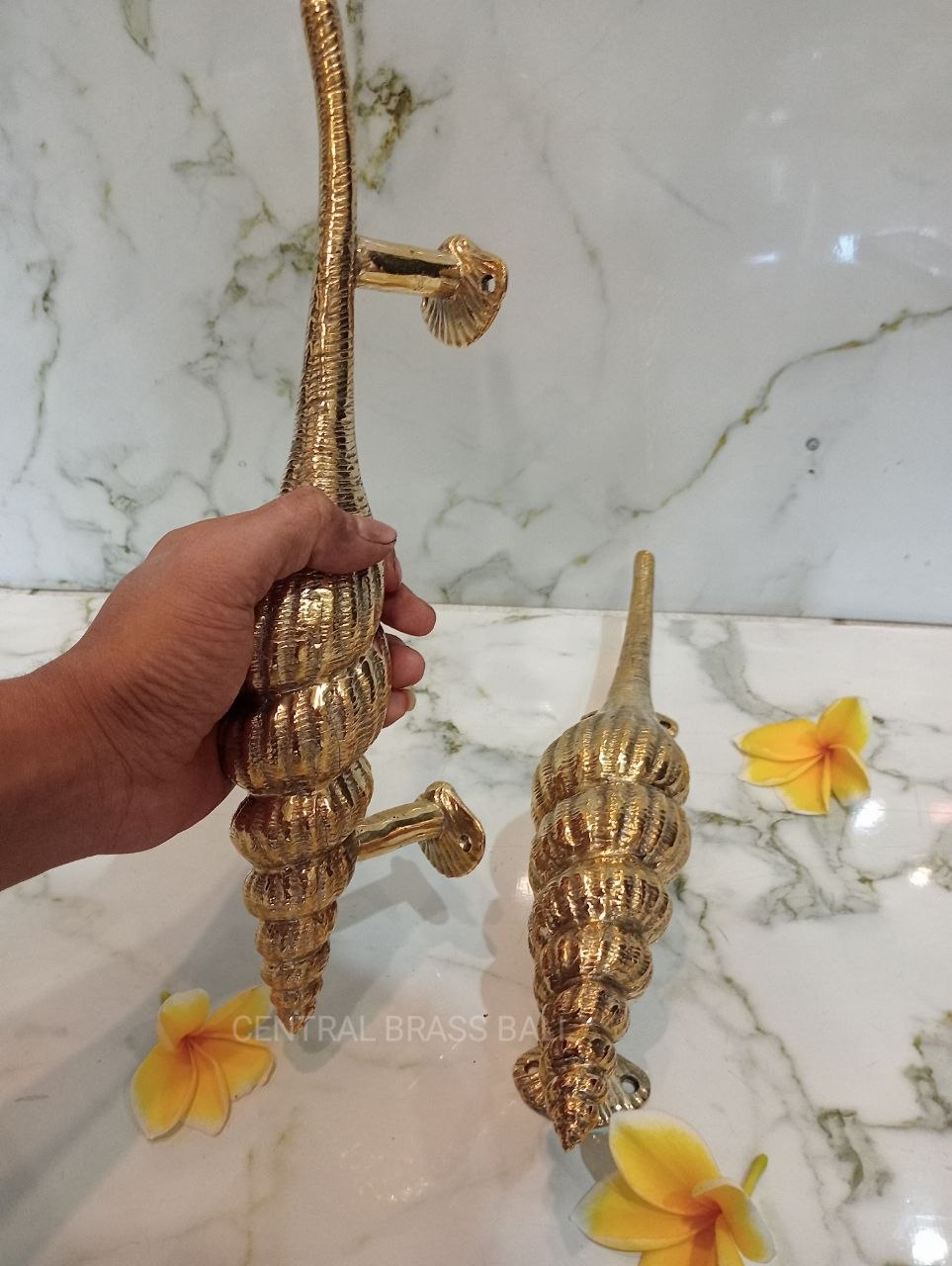 Set of 2pcs Shell Door handle