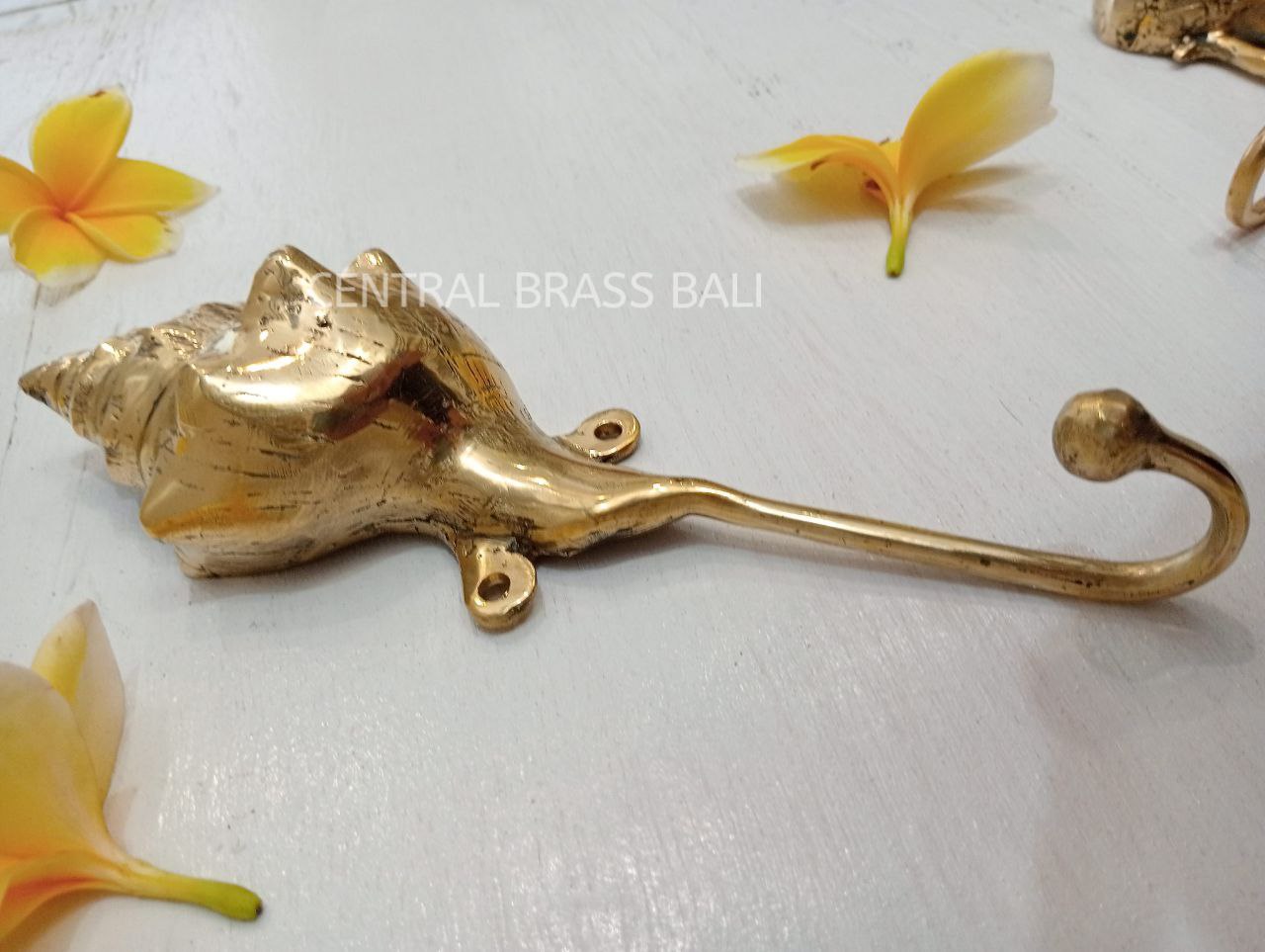 3pcs shell Hooks Brass