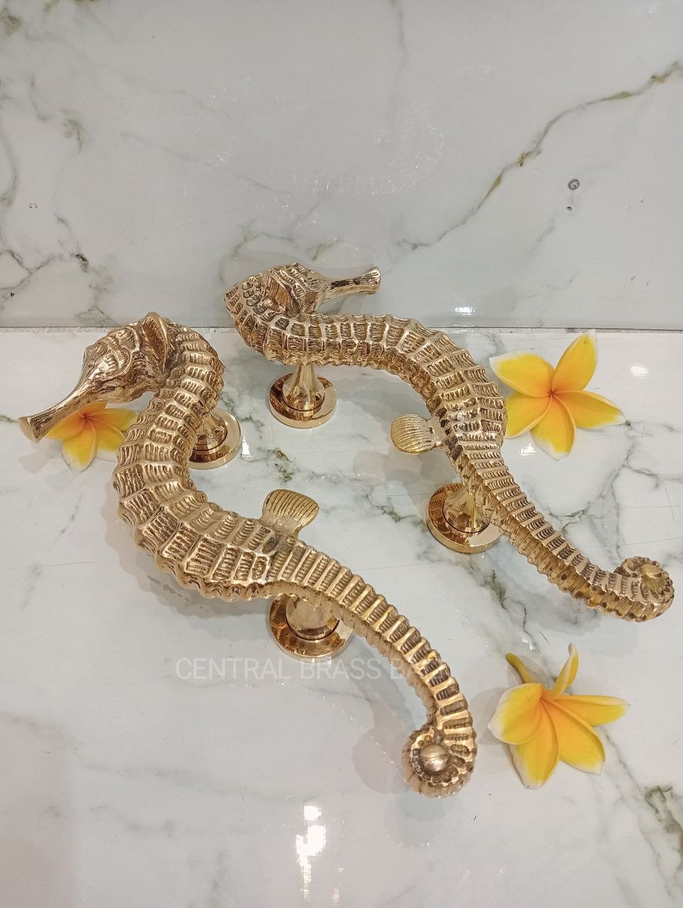 2xpcs Gold Polished Seahorse Door Handles