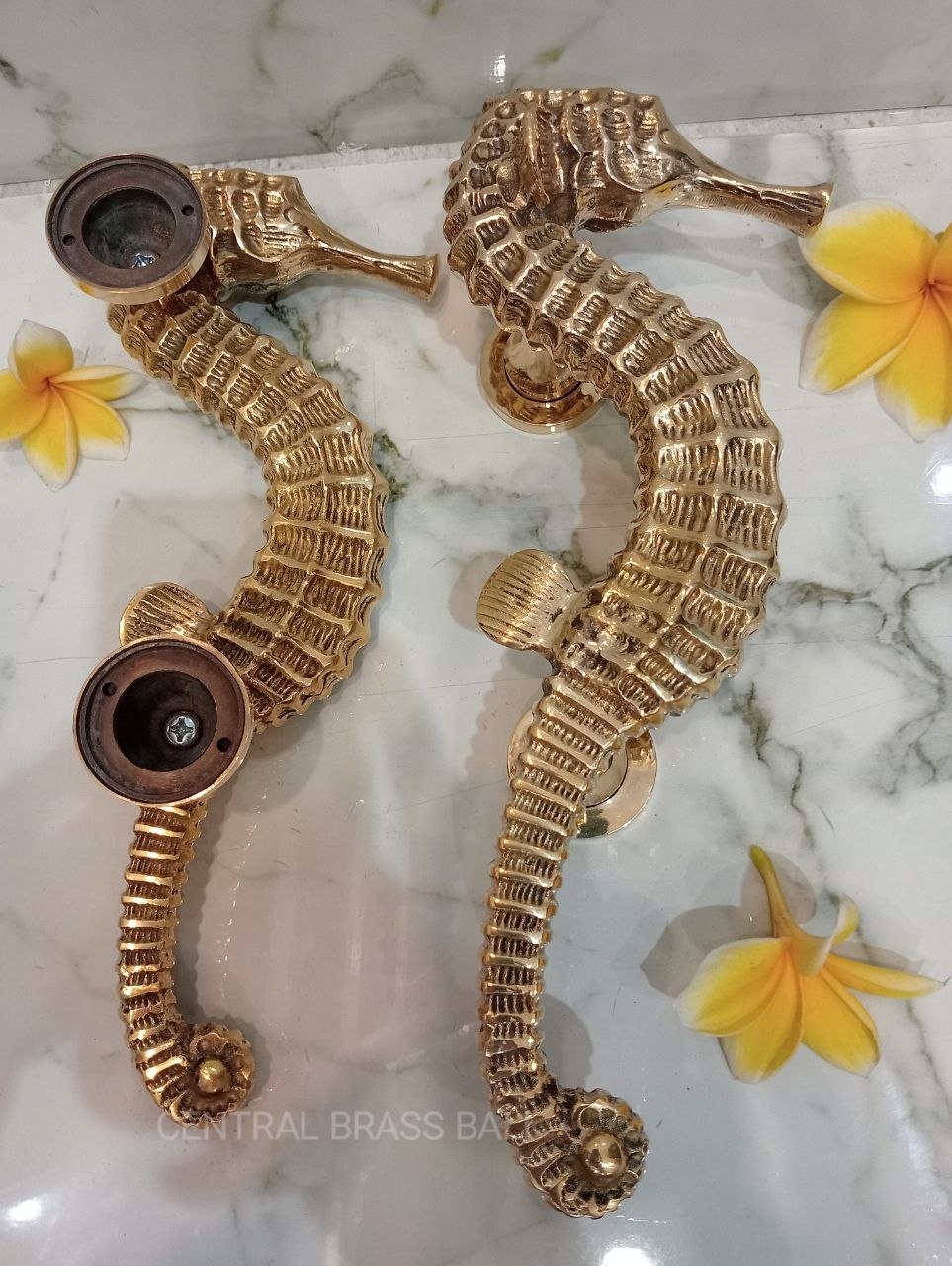 2xpcs Gold Polished Seahorse Door Handles