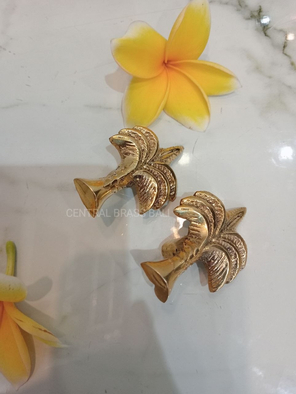 Set of 10pcs Palm knobs