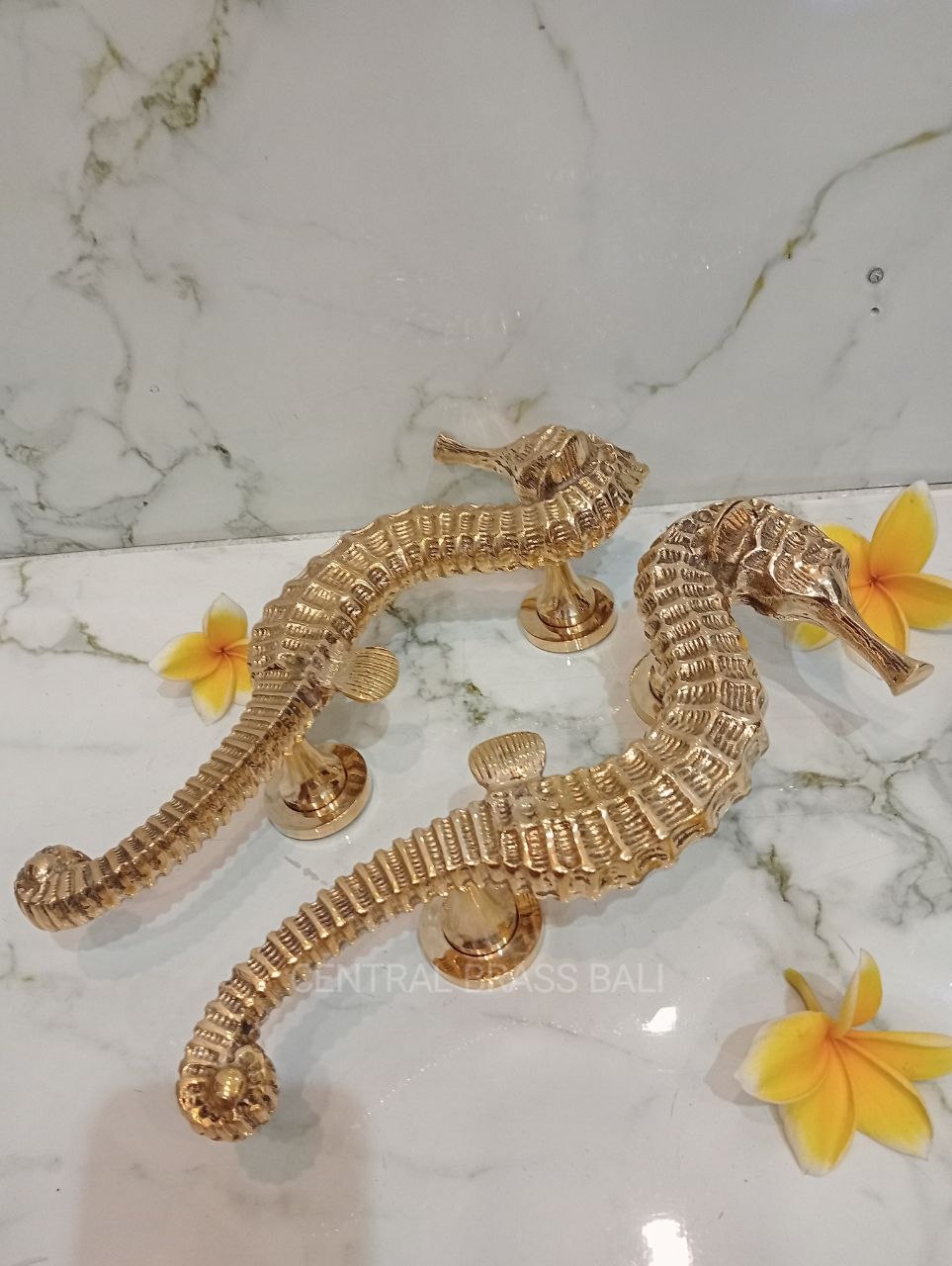 2xpcs Gold Polished Seahorse Door Handles