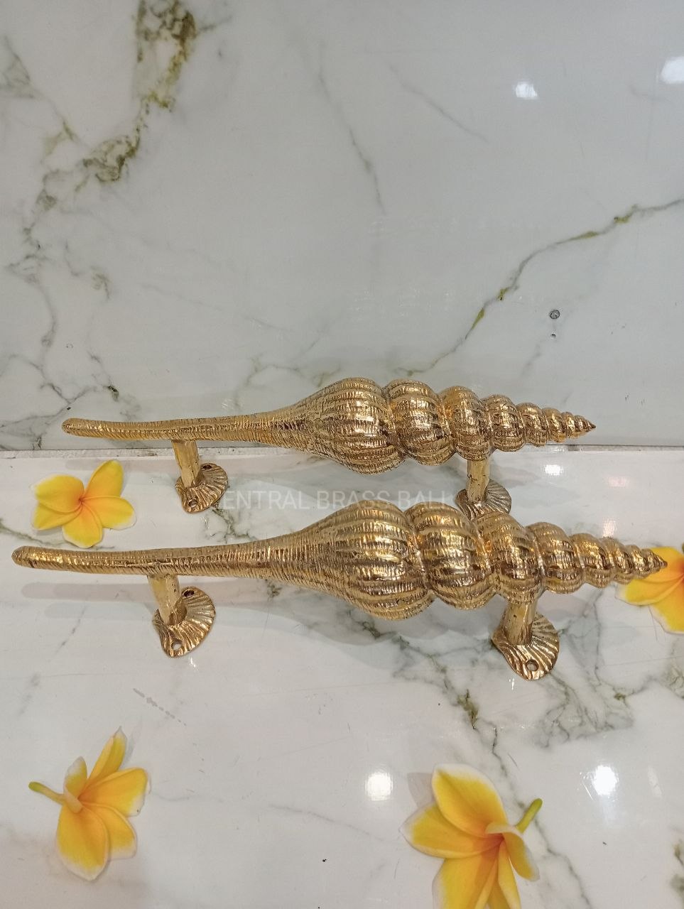 Set of 2pcs Shell Door handle