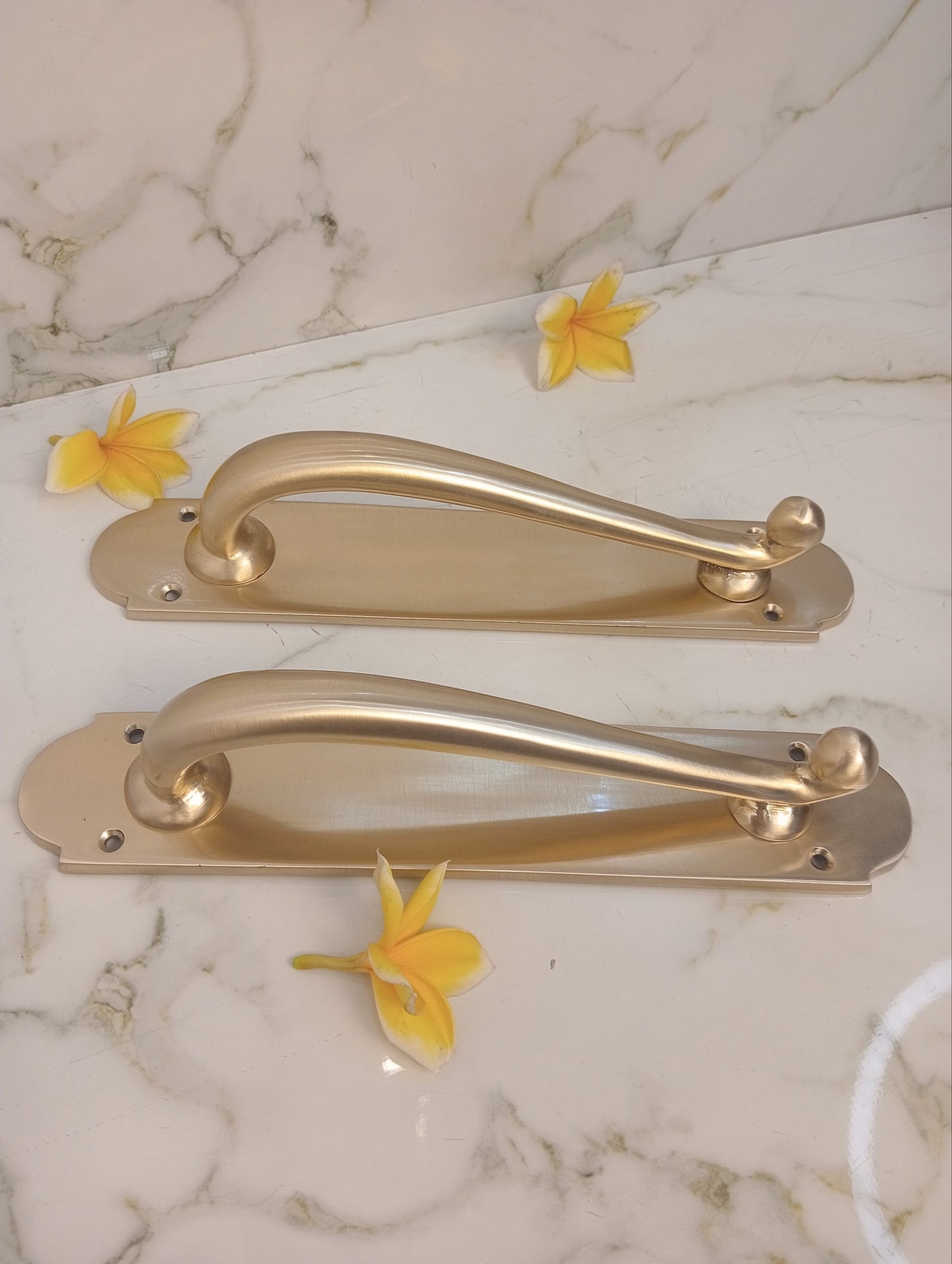 Modern Satin Brass French Door Handle | Luxury Entry Door Pull with Backplate | Contemporary Solid Brass Front Door Hardware | Pair