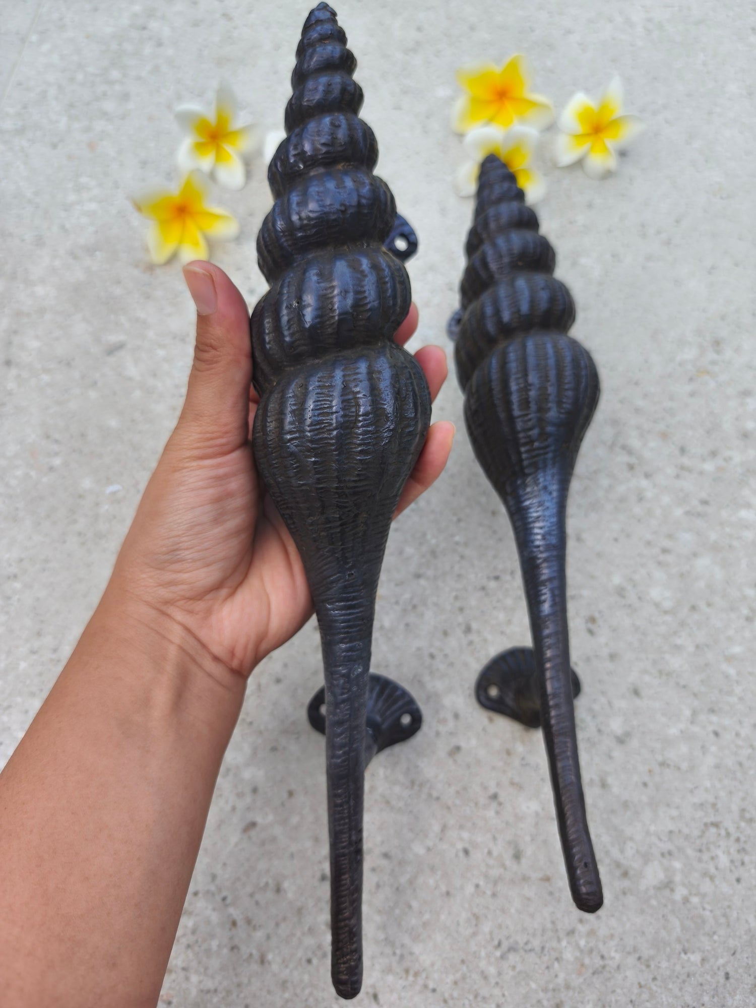 Solid brass seashell door handles in rustic black, coastal front door pull pair with 19 cm screw to screw spacing, decorative beach themed hardware for villas and holiday homes