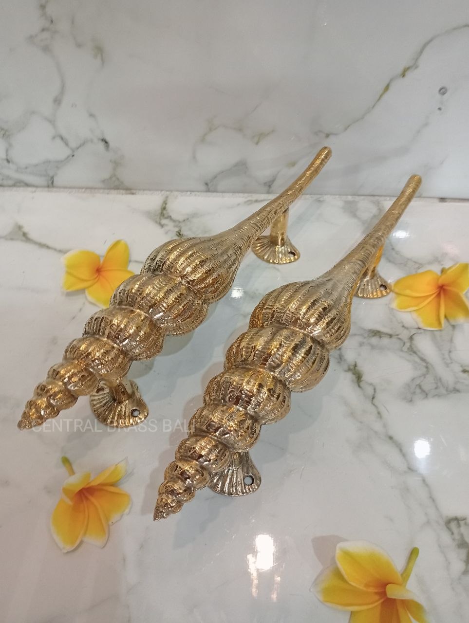 Set of 2pcs Shell Door handle