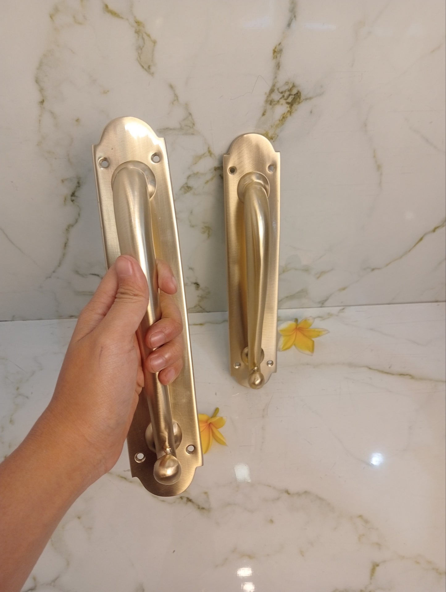 Modern Satin Brass French Door Handle | Luxury Entry Door Pull with Backplate | Contemporary Solid Brass Front Door Hardware | Pair