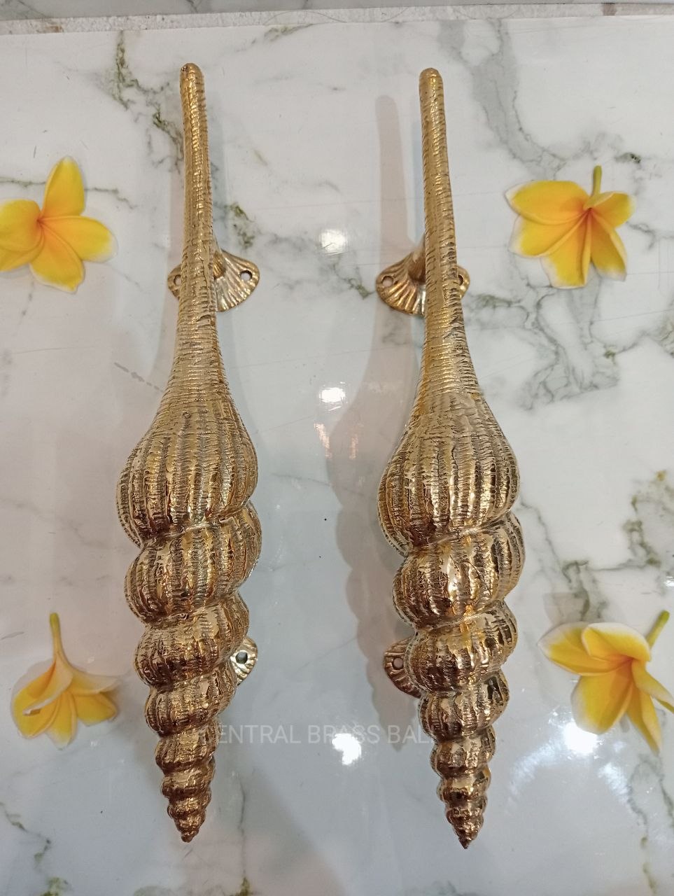 Set of 2pcs Shell Door handle