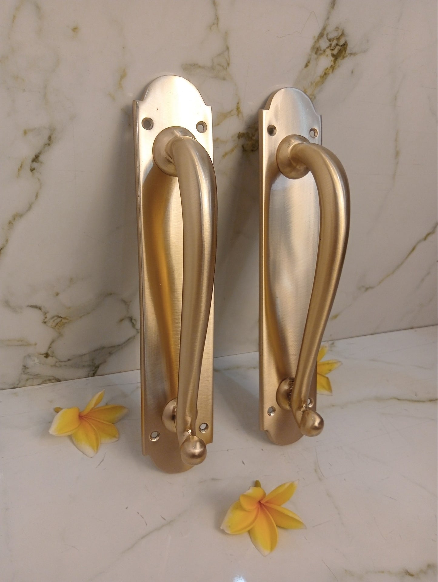 Modern Satin Brass French Door Handle | Luxury Entry Door Pull with Backplate | Contemporary Solid Brass Front Door Hardware | Pair