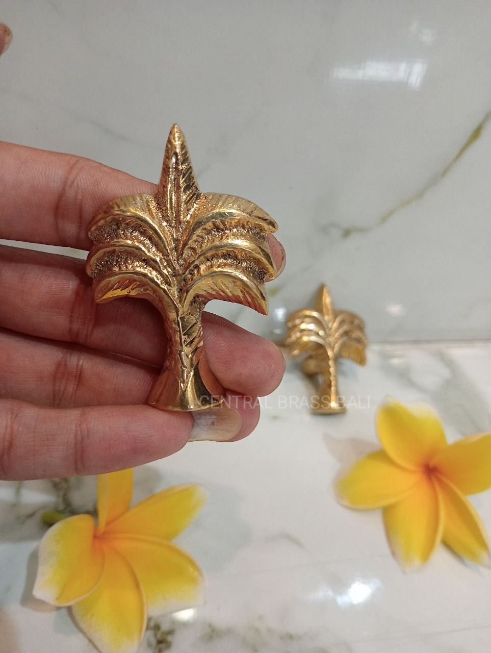 Set of 10pcs Palm knobs