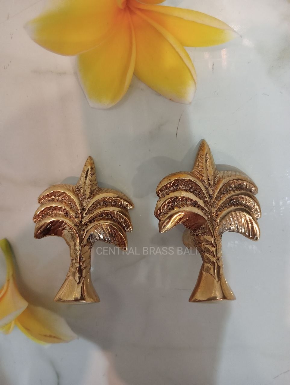 Set of 10pcs Palm knobs