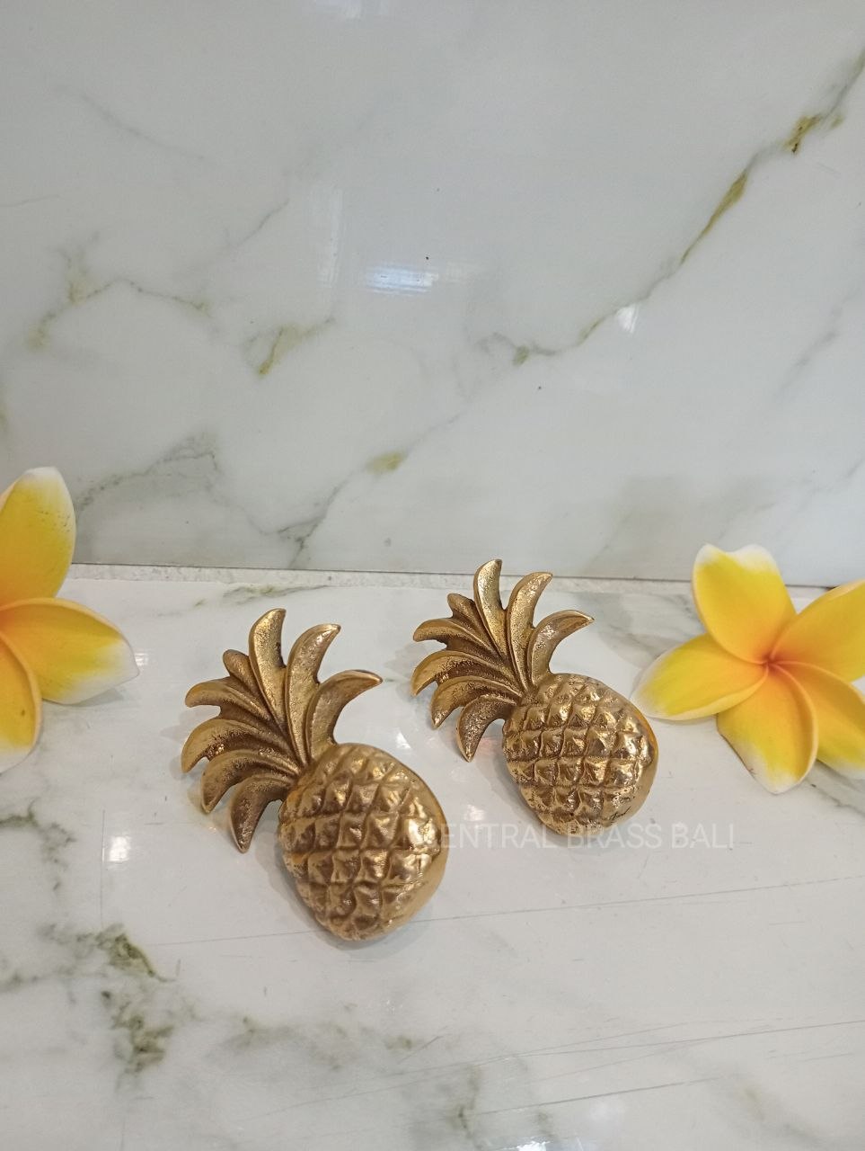 Set of 10pcs Pineapple knobs
