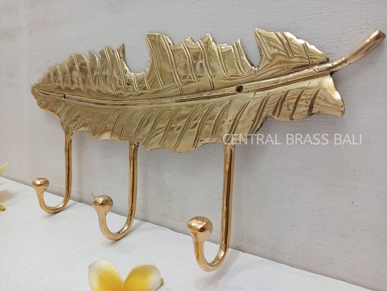 Big leaf door Brass Hooks