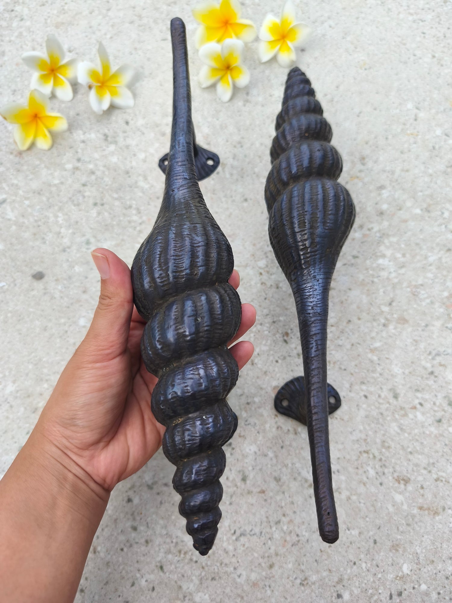 Coastal black door pull handles in a seashell shape, solid brass entry door hardware sold as a pair, statement beach house decor for front doors, resort lobbies and restaurants