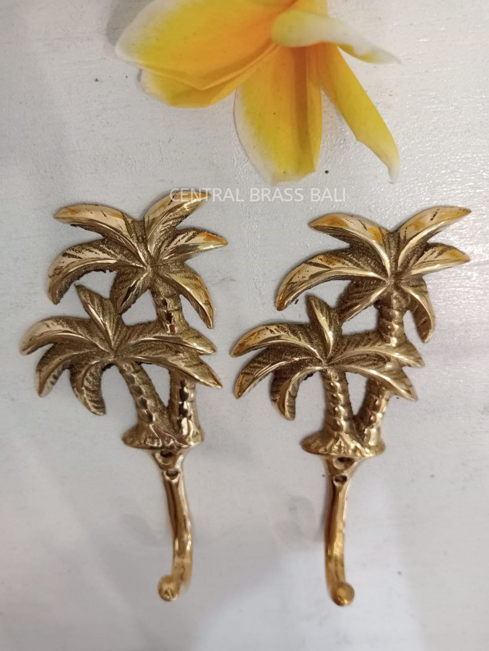 4pcs Double palm hooks Brass