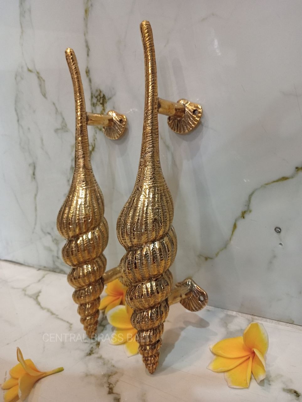 Set of 2pcs Shell Door handle