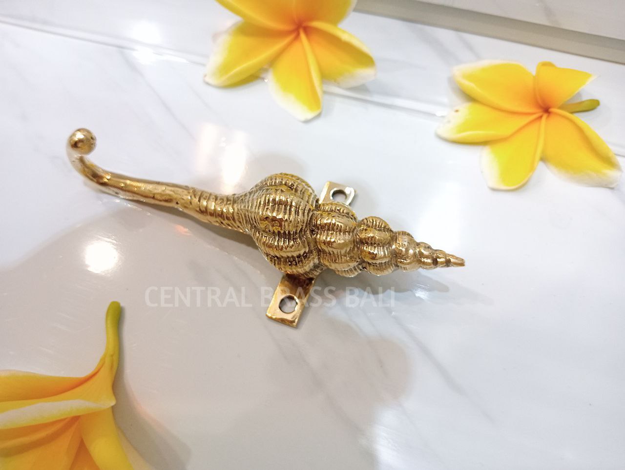 Set of 4pcs Shell Hook Brass