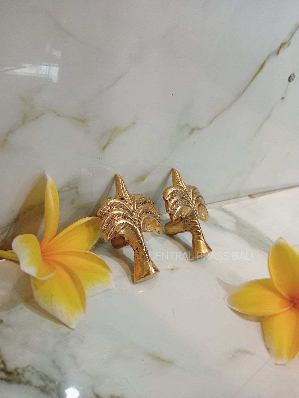 Set of 10pcs Palm knobs