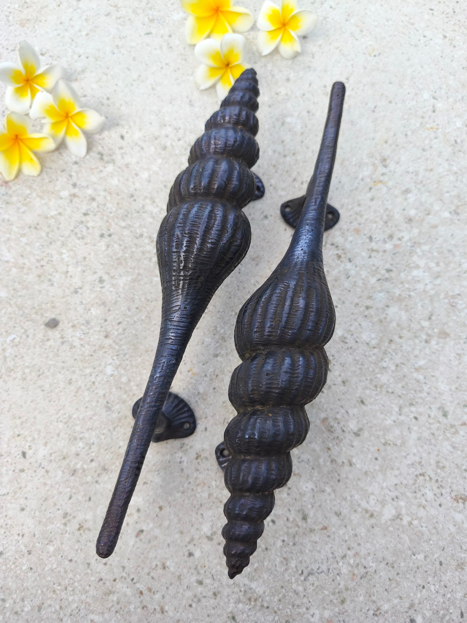 Seashell shape brass door handle pair in rustic black, coastal style front entry pulls, heavy solid brass hardware for double doors, tropical, beach and nautical home decor