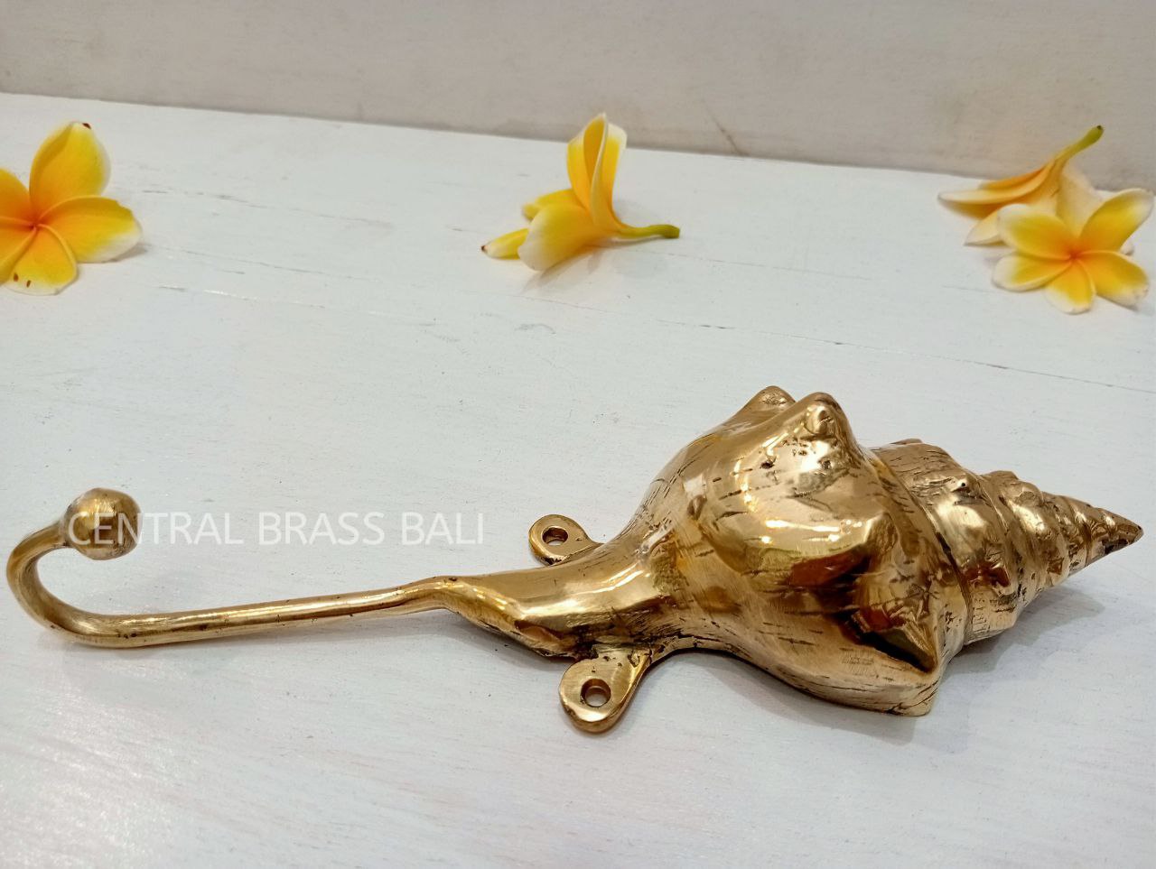 3pcs shell Hooks Brass