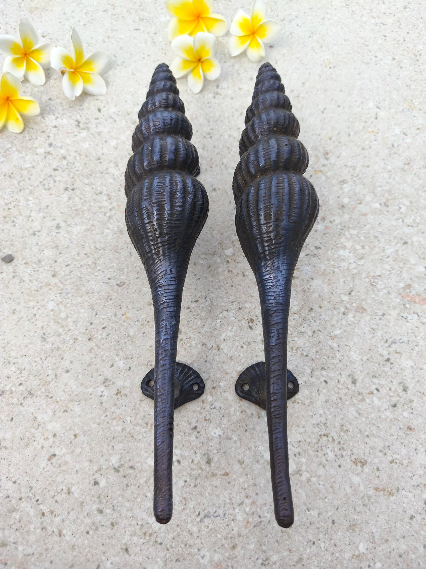 Black shell pull handles for front doors, solid brass coastal door hardware pair, 10 cm protrusion for an easy grip, ocean inspired entry handle for beach and island style homes