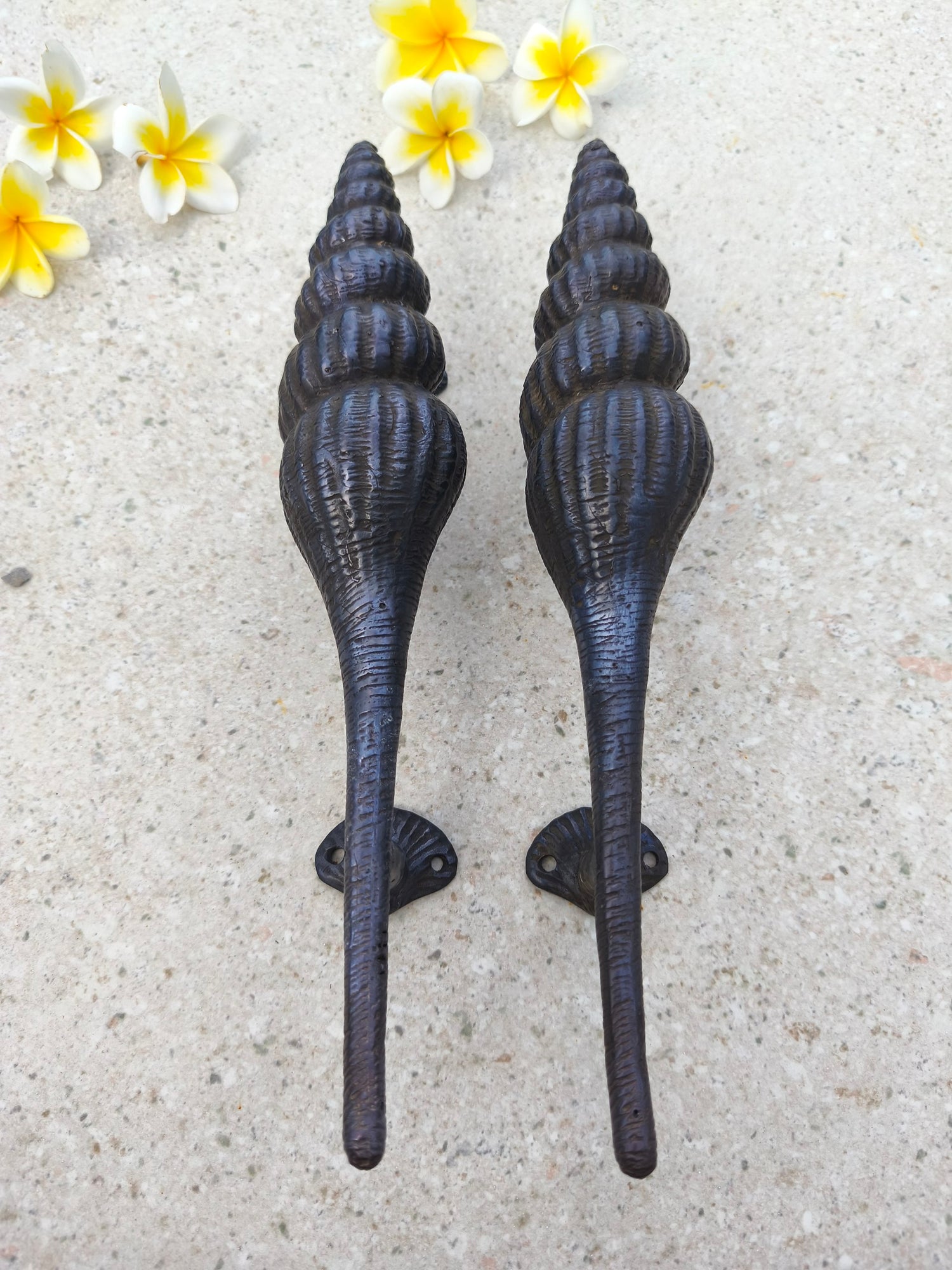 Black shell pull handles for front doors, solid brass coastal door hardware pair, 10 cm protrusion for an easy grip, ocean inspired entry handle for beach and island style homes