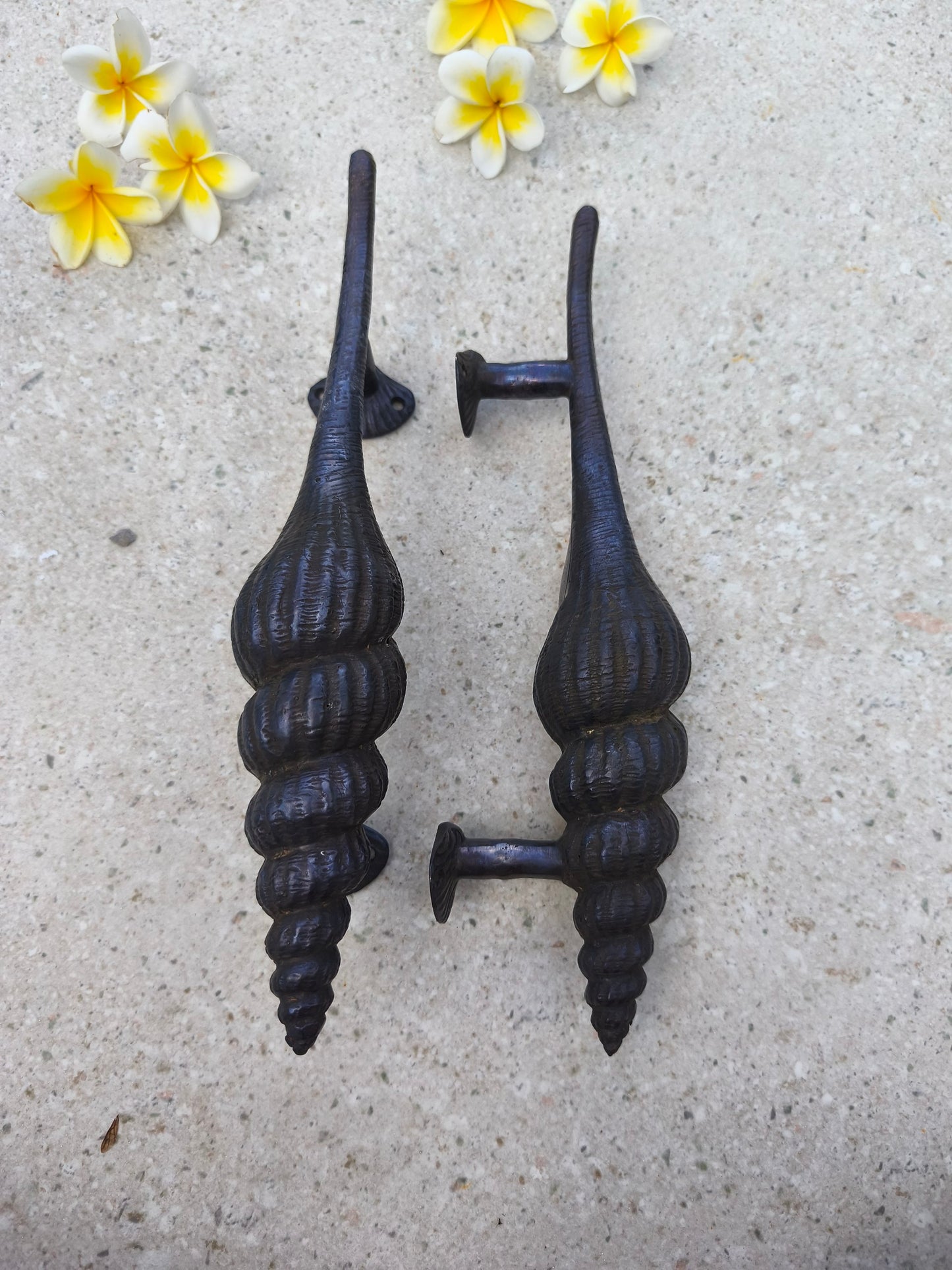 Ocean inspired black shell door pulls in solid brass, rustic coastal front door handle pair, decorative nautical hardware for beach cottages, surf shacks and coastal renovations